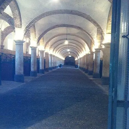El Mirador De La Mezquita-catedral Cordoue