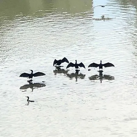 El Mirador De La Mezquita-catedral 公寓 *