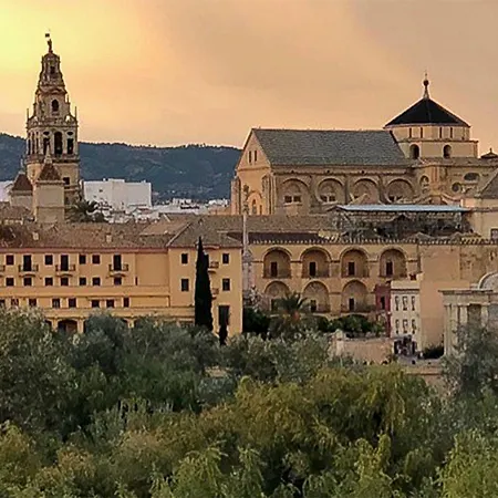 El Mirador De La Mezquita-catedral *
