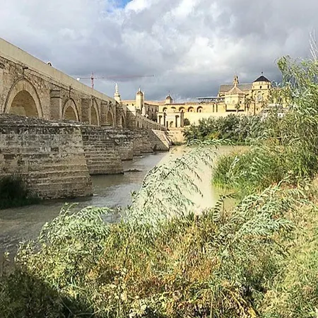Апартаменти El Mirador De La Mezquita-catedral *