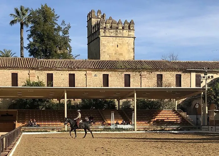 El Mirador De La Mezquita-catedral * קורדובה