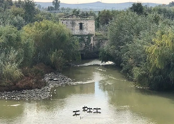 דירה El Mirador De La Mezquita-catedral קורדובה