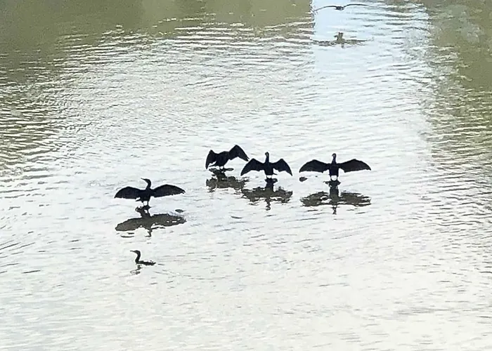 El Mirador De La Mezquita-catedral דירה *