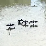 El Mirador De La Mezquita-catedral Apartmán *
