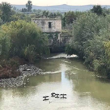 Apartment El Mirador De La Mezquita-catedral Cordoba