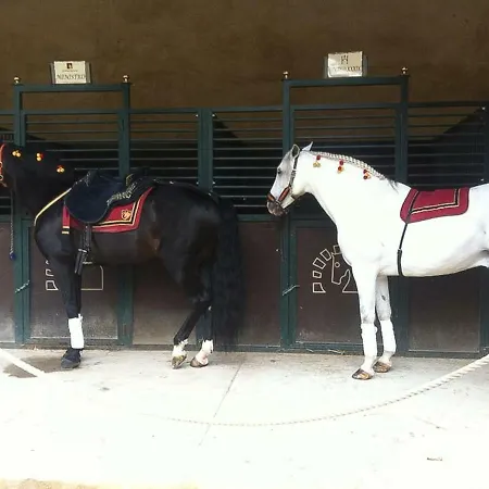 El Mirador De La Mezquita-catedral Cordoba