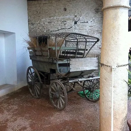 El Mirador De La Mezquita-catedral *