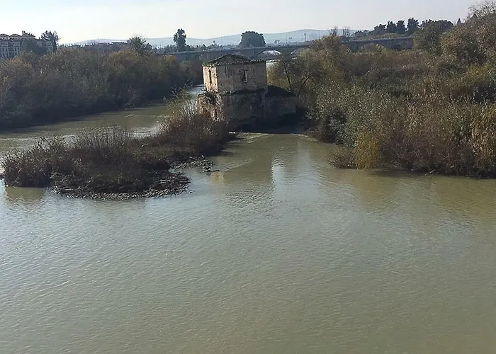 Апартаменти El Mirador De La Mezquita-catedral Кордова