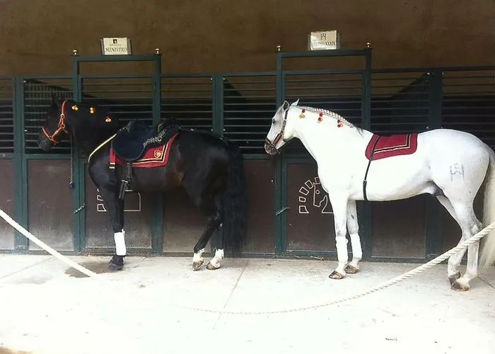 El Mirador De La Mezquita-catedral Кордова